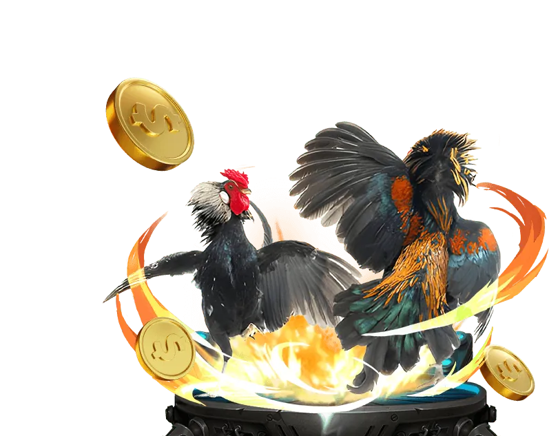 Giới thiệu chung về Sumvip